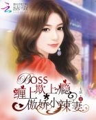 BOSS欺上瘾:缠上傲娇小辣妻