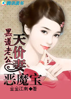 黑道老公:天价妻恶魔宝